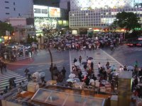 DSC00467.JPG